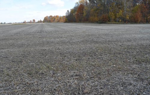 Property photo 26 - 75.3 Acres Offered in 2 Tracts